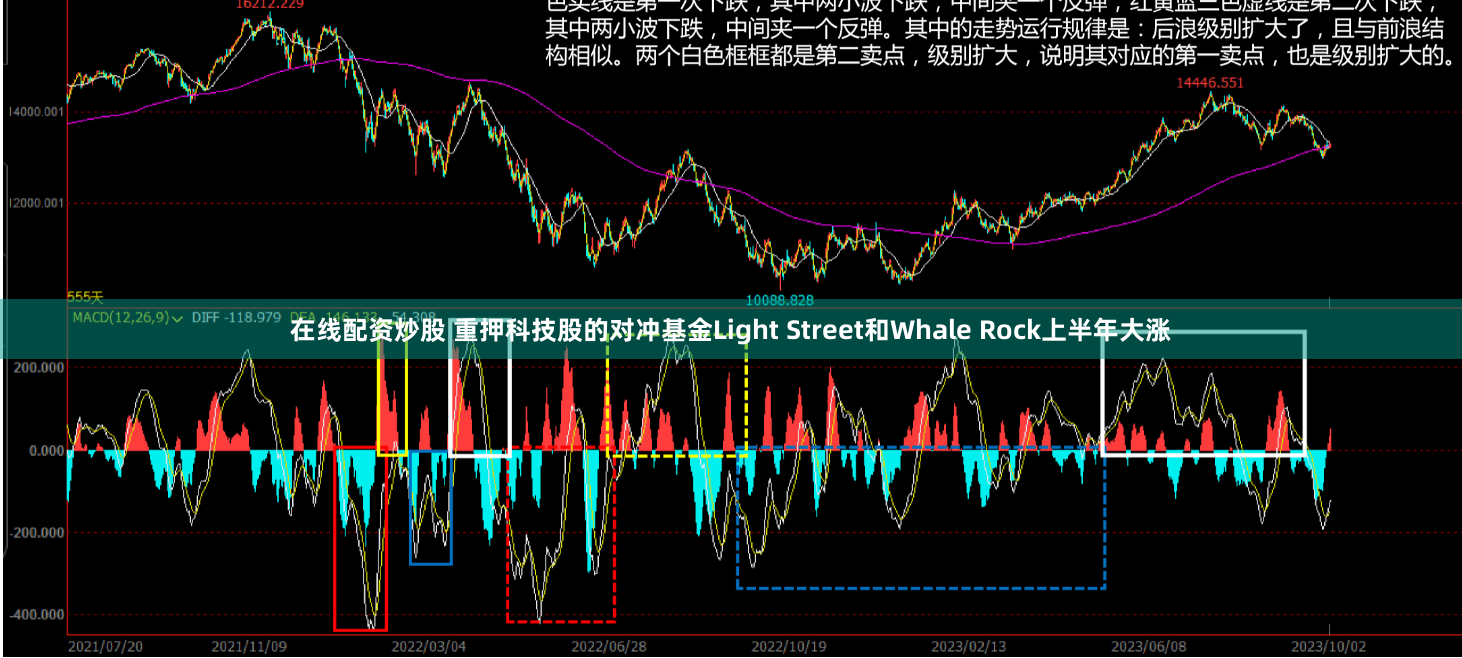 在线配资炒股 重押科技股的对冲基金Light Street和Whale Rock上半年大涨