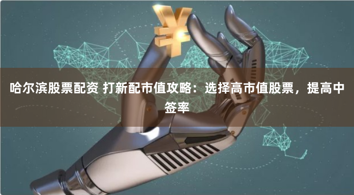 哈尔滨股票配资 打新配市值攻略：选择高市值股票，提高中签率