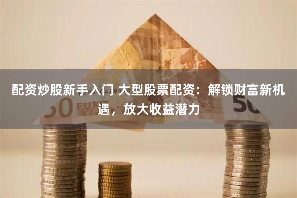 配资炒股新手入门 大型股票配资：解锁财富新机遇，放大收益潜力