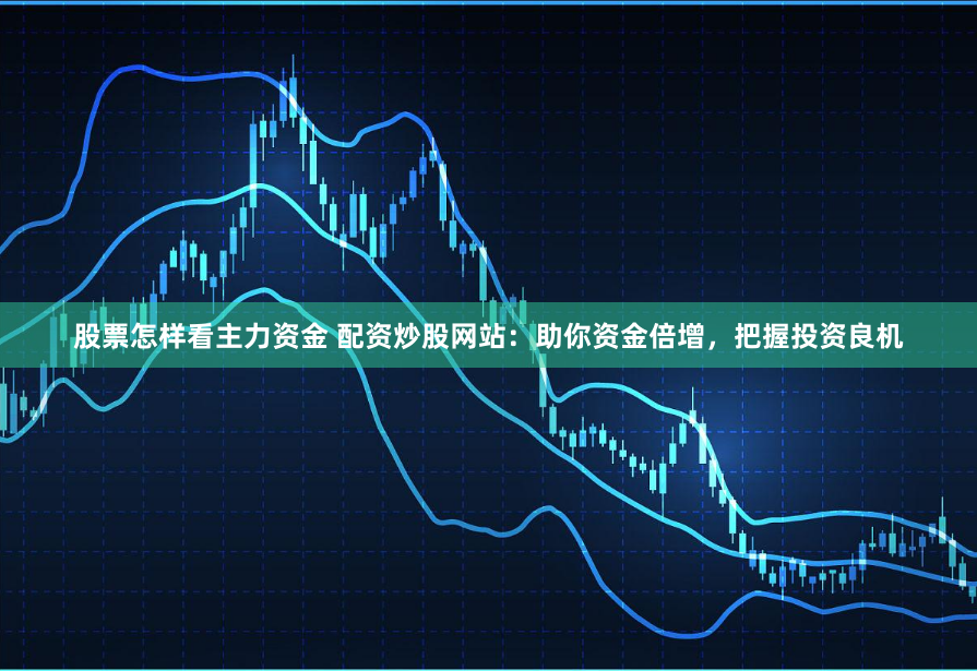 股票怎样看主力资金 配资炒股网站：助你资金倍增，把握投资良机