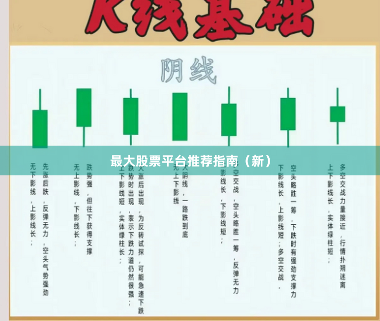 最大股票平台推荐指南（新）